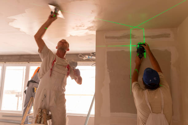 Best Drywall Removal and Disposal  in Matamoras, OH